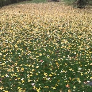 Meet your Posher, Aaron